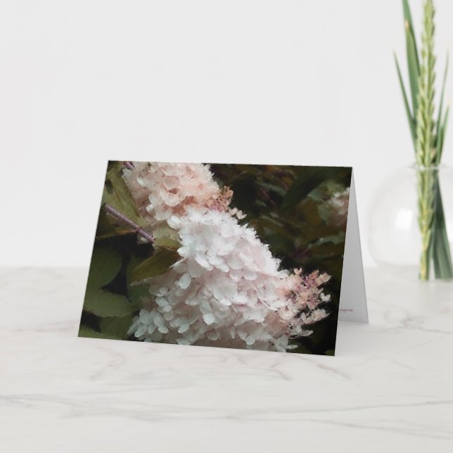 Hydrangeas Floral Birthday Card (Front)