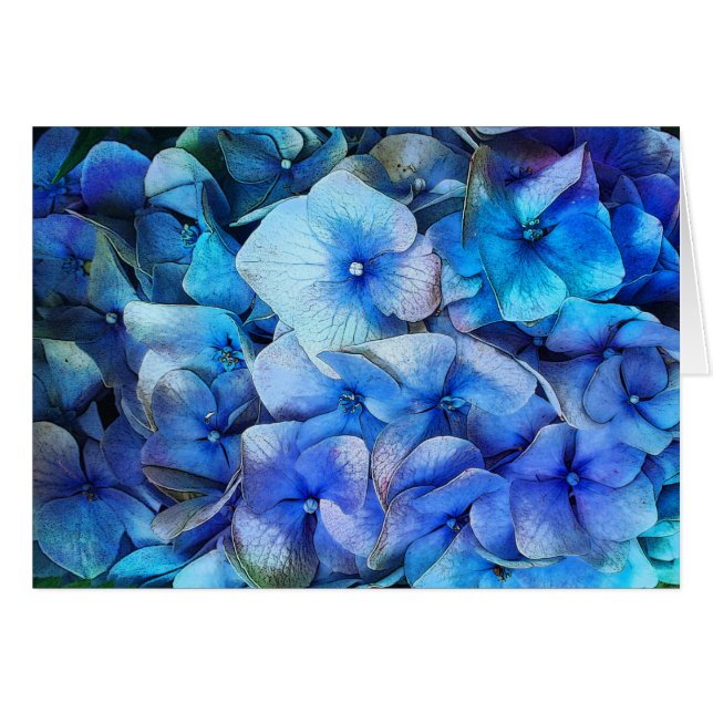 Hydrangeas, flower card, blue flower, spring (Front Horizontal)