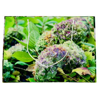 Hydrangeas gift bag