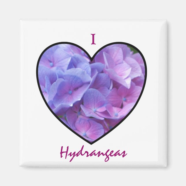 Hydrangeas Magnet (Front)