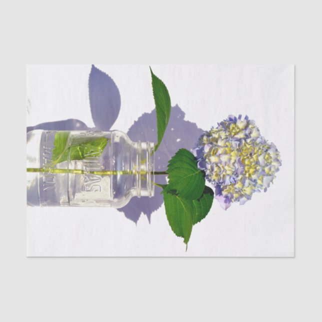 hydrangeas & mason jar tissue paper (Front)