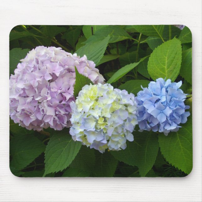 Hydrangeas Mouse Mat (Front)