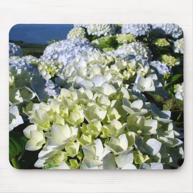 Hydrangeas Mouse Mat (Front)