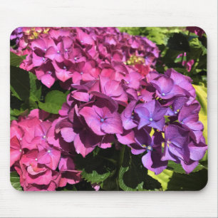 Hydrangeas mouse mat