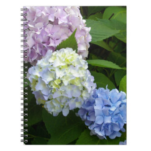 Hydrangeas Notebook