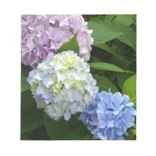 Hydrangeas Notepad