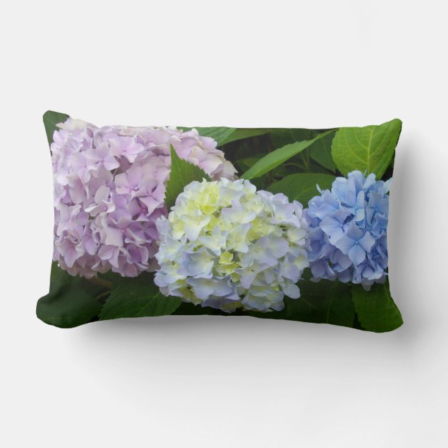 Hydrangeas, pink flowers, blue purple flowers lumbar cushion (Front)