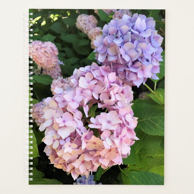 Hydrangeas Planner (Front)