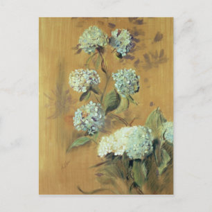 Hydrangeas Postcard
