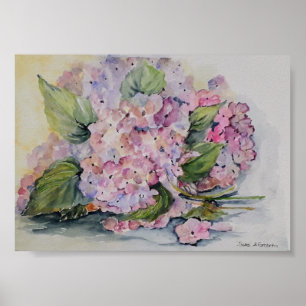 Hydrangeas Poster