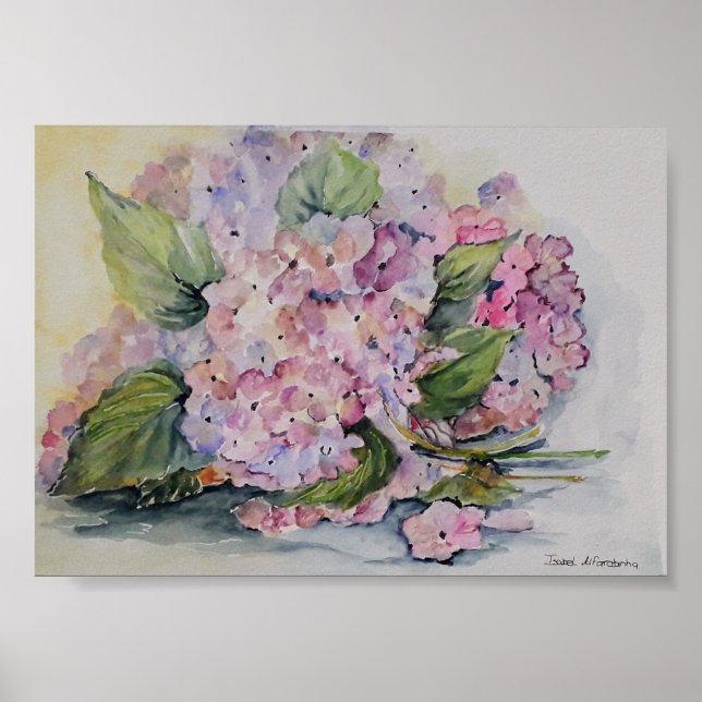 Hydrangeas Poster (Front)