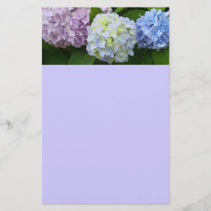 Hydrangeas Stationery