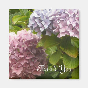 Hydrangeas Thank You Magnet