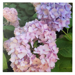 Hydrangeas Tile