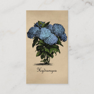 Hydrangeas Vintage Botanical Business Card