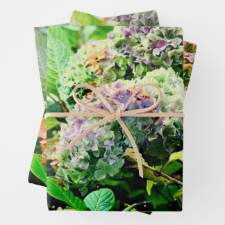 Hydrangeas wrapping paper