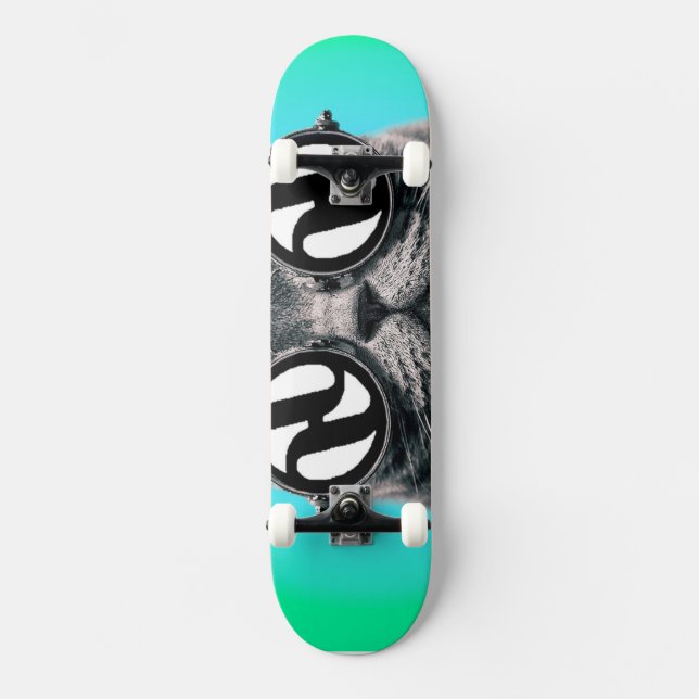 Hydro Cat Skateboard (Front)