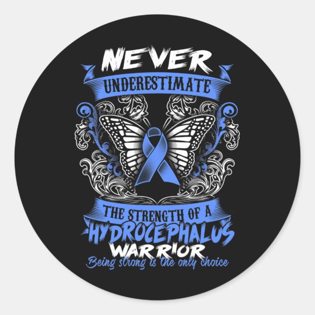 HYDROCEPHALUS Awareness  2016 Classic Round Sticker (Front)