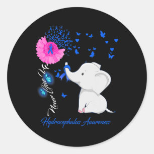 Hydrocephalus Awareness - Hydrocephalus Ribbon Classic Round Sticker