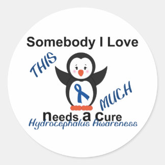 Hydrocephalus Awareness Someone I Love Classic Round Sticker