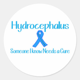 Hydrocephalus Classic Round Sticker
