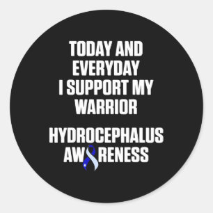 Hydrocephalus Survivor Everyday Awareness Warrior Classic Round Sticker