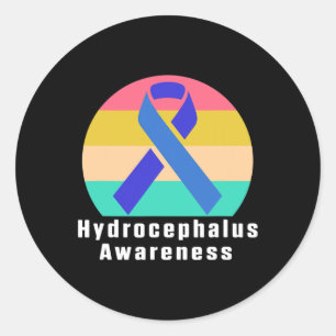 Hydrocephalus Survivor Medical Awareness Warrior Classic Round Sticker