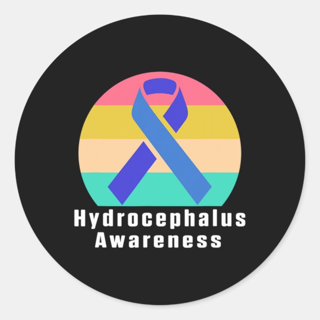 Hydrocephalus Survivor Medical Awareness Warrior  Classic Round Sticker (Front)