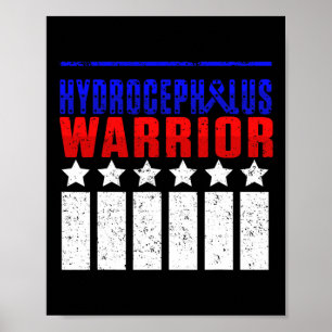 Hydrocephalus Survivor Medication Awareness Warrio Poster
