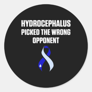 Hydrocephalus Survivor Opponent Awareness Warrior  Classic Round Sticker