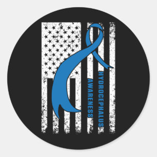 Hydrocephalus Survivor Patient Care Awareness Warr Classic Round Sticker