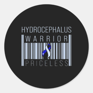 Hydrocephalus Survivor Price Awareness Warrior  Classic Round Sticker