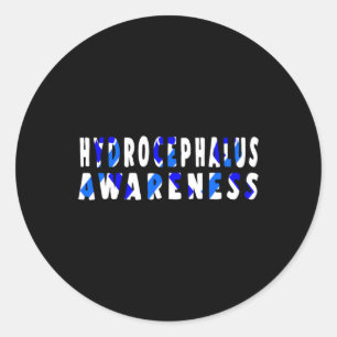 Hydrocephalus Survivor Research Awareness Warrior  Classic Round Sticker
