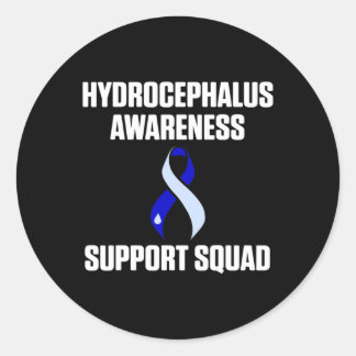 Hydrocephalus Survivor Support Awareness Warrior  Classic Round Sticker