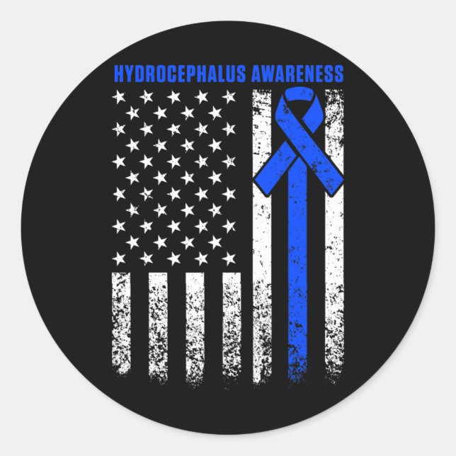 Hydrocephalus Survivor Therapy Awareness Warrior  Classic Round Sticker (Front)