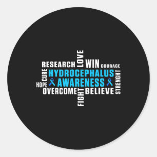Hydrocephalus Survivor Treating Awareness Warrior Classic Round Sticker