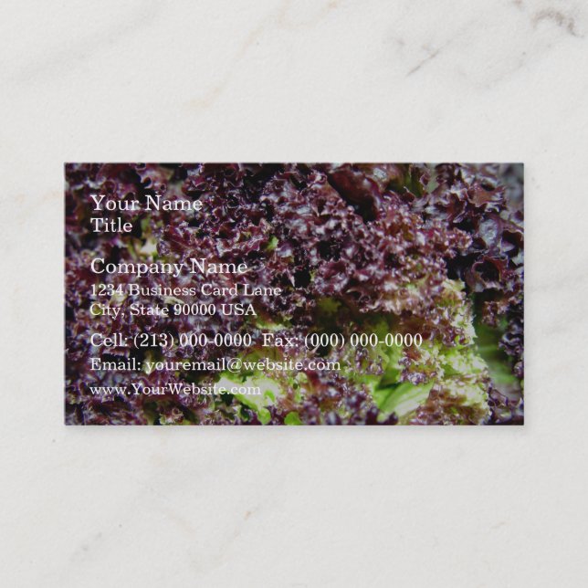 Hydroponic lettuce leaves business card (Front)