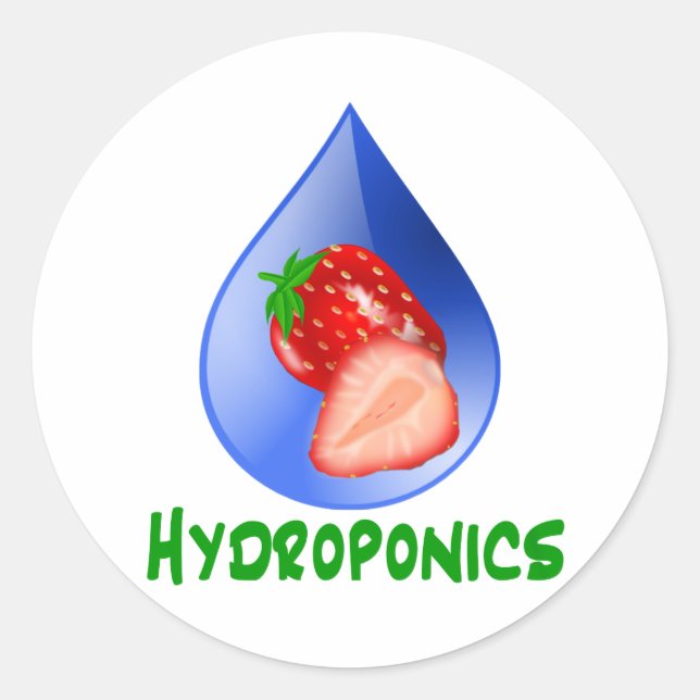Hydroponics, strawberries, green text, blue drop classic round sticker (Front)
