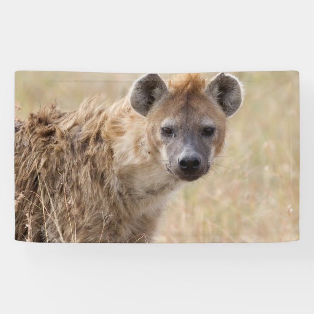Hyena Banner (Horizontal)
