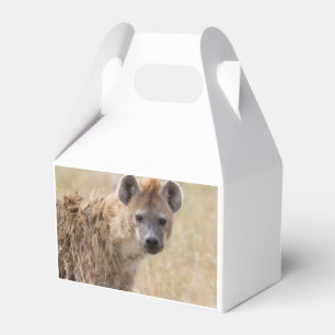 Hyena Favour Box