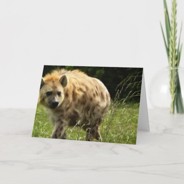 Hyena Greeting Card (Front)