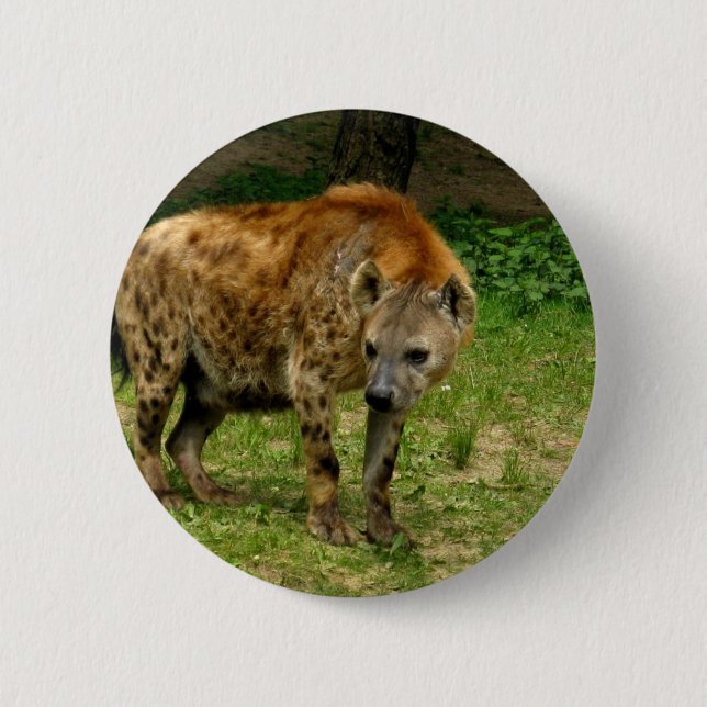 Hyena Prowl Round Button (Front)