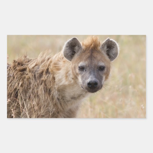 Hyena Rectangular Sticker (Front)