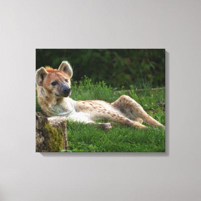 Hyena's Bliss Capturing Nature's Smiles Canvas Print (Front)