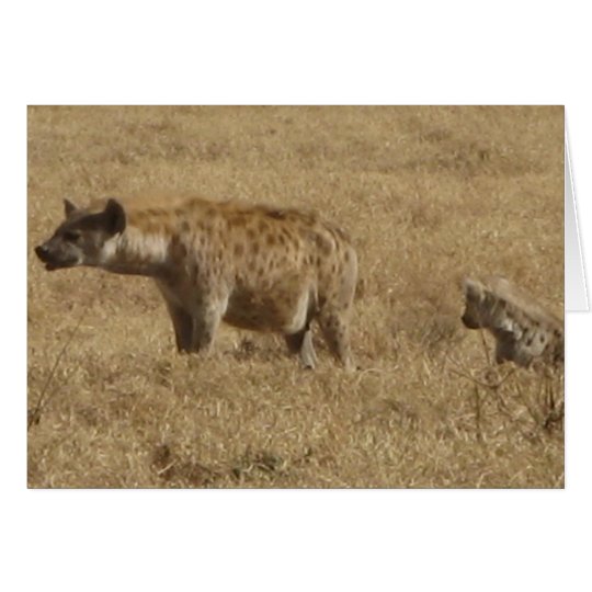 Hyenas Card