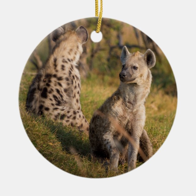 Hyenas Ceramic Tree Decoration (Front)