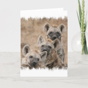 Hyenas Greeting Card
