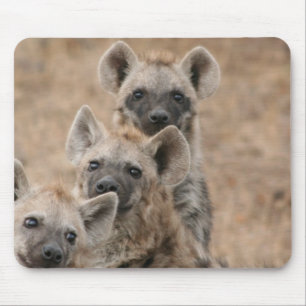 Hyenas Mouse Pad