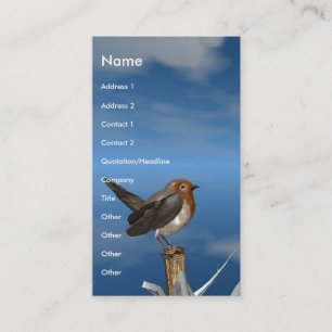 HYPER BIRDS / ROBIN RED BREAST BUSINESS CARD