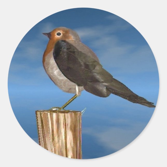 HYPER BIRDS / ROBIN RED BREAST CLASSIC ROUND STICKER (Front)